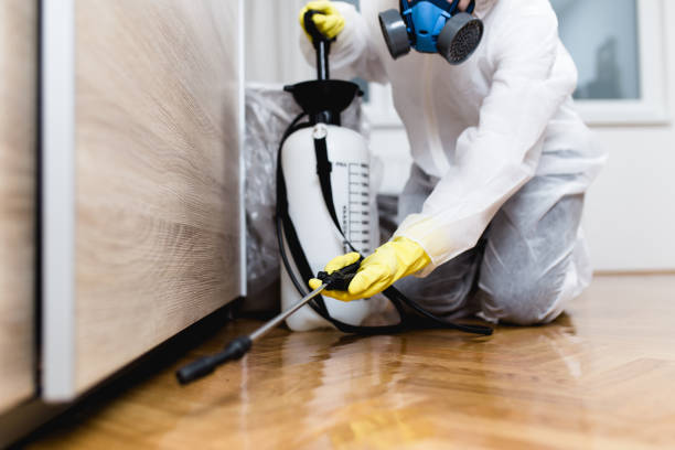Best Termite Control Services  in Yale, OK
