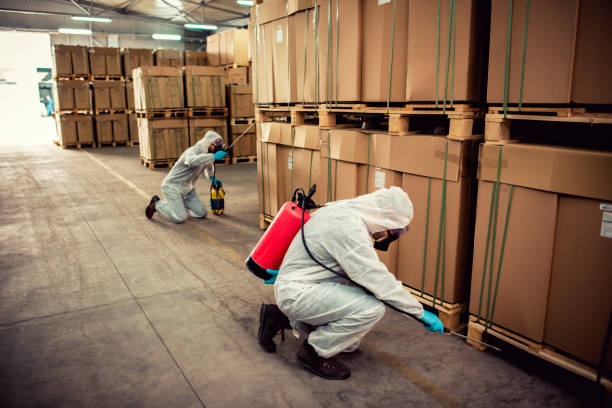 Best Exterminator Services  in Yale, OK