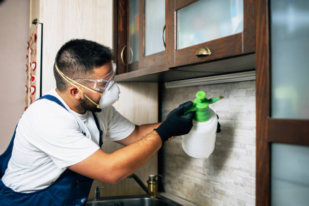 Best Emergency Pest Control  in Yale, OK