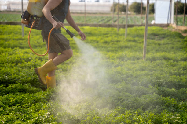 Best Residential Pest Control  in Yale, OK