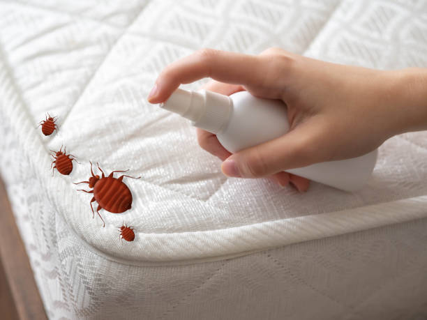 Best Commercial Pest Control Services  in Yale, OK