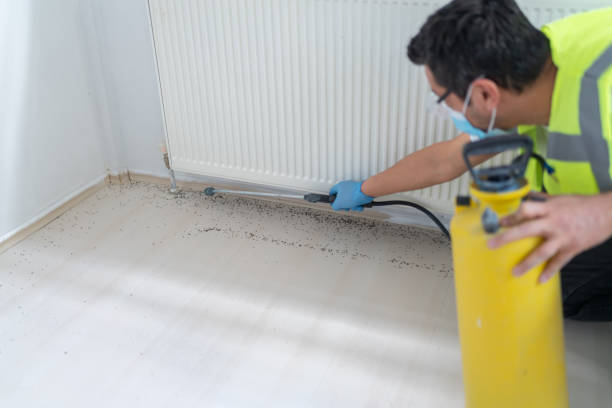 Best Pest Removal Services  in Yale, OK