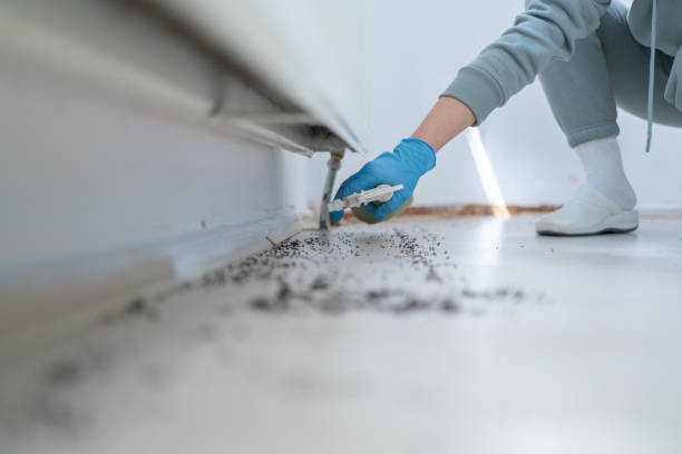 Best Pest Removal Services  in Yale, OK